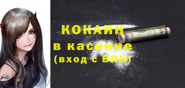 меф Арсеньев