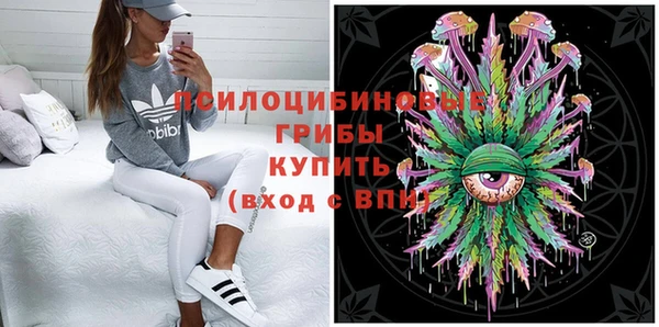меф Арсеньев
