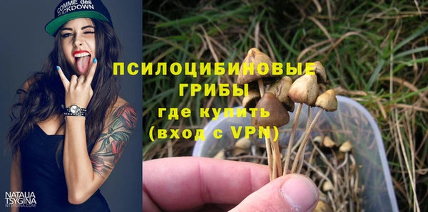 меф Арсеньев