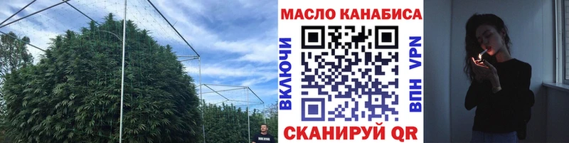 цена   МЕГА маркетплейс  ТГК концентрат  Арск 